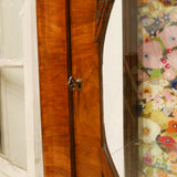 Glass cabinet/グラスキャビネット